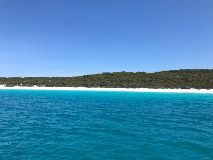 Jervis Bay: 2-Hour Cruise of Jervis Bay Passage - Who will enjoy this cruise most?