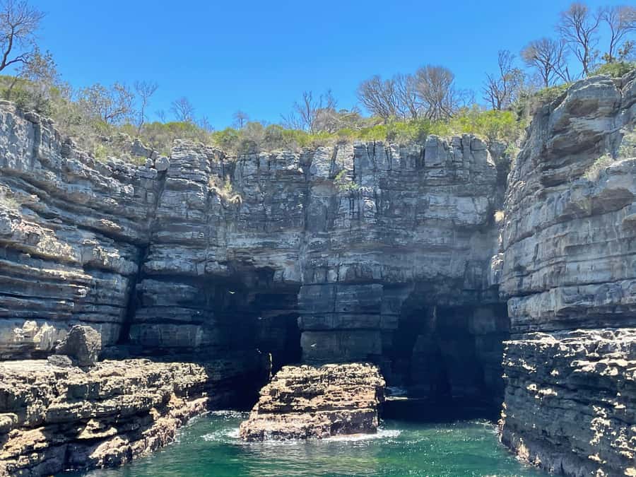 Jervis Bay: 2-Hour Cruise of Jervis Bay Passage - What to bring and how to prepare