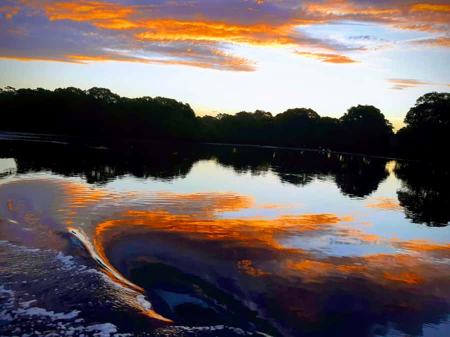 Jervis Bay: 2-Hour Sunset River Cruise - A gentle sunset ride from Huskisson Wharf
