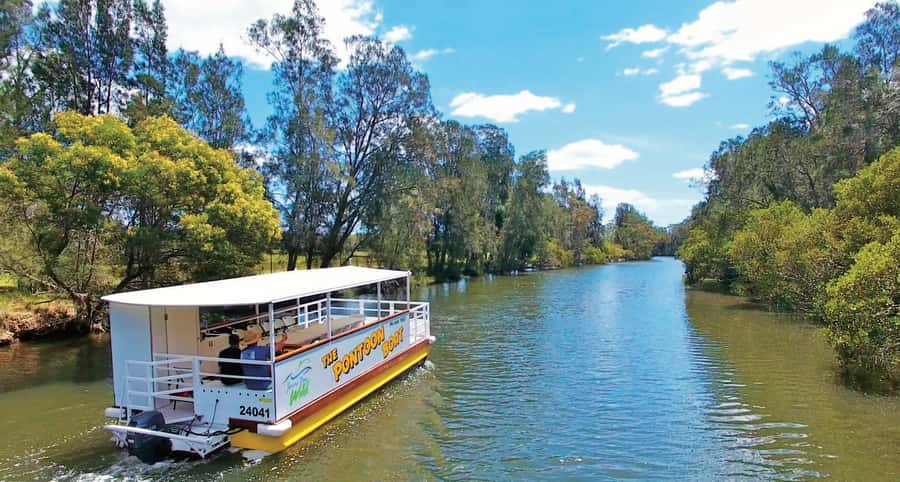 Jervis Bay: 2-Hour Sunset River Cruise - Watching for giant stingrays near the water