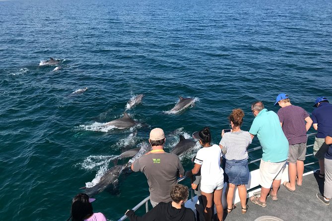 Jervis Bay Dolphin Cruise - Key points at a glance