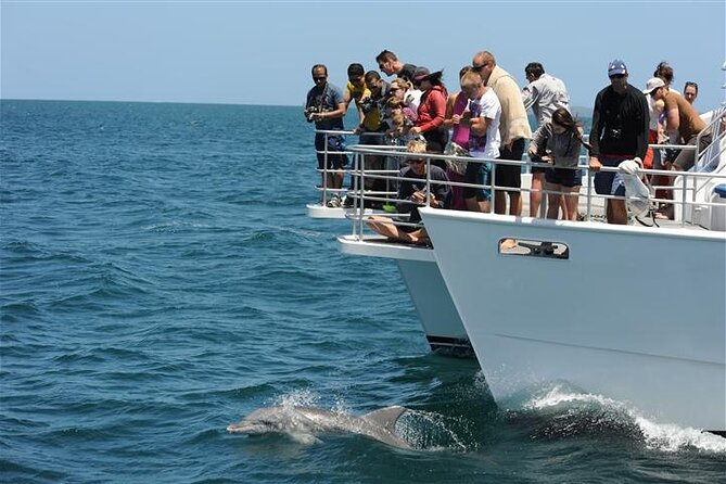 Jervis Bay Dolphin Cruise - Setting out from Huskisson on Currambene Street
