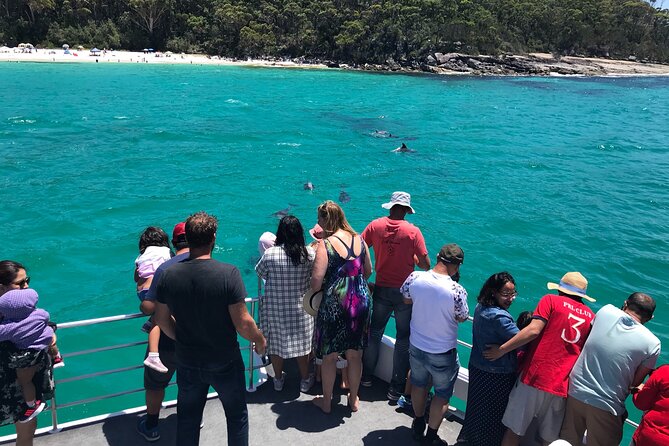 Jervis Bay Dolphin Cruise - Crew, commentary, and the human side of the cruise