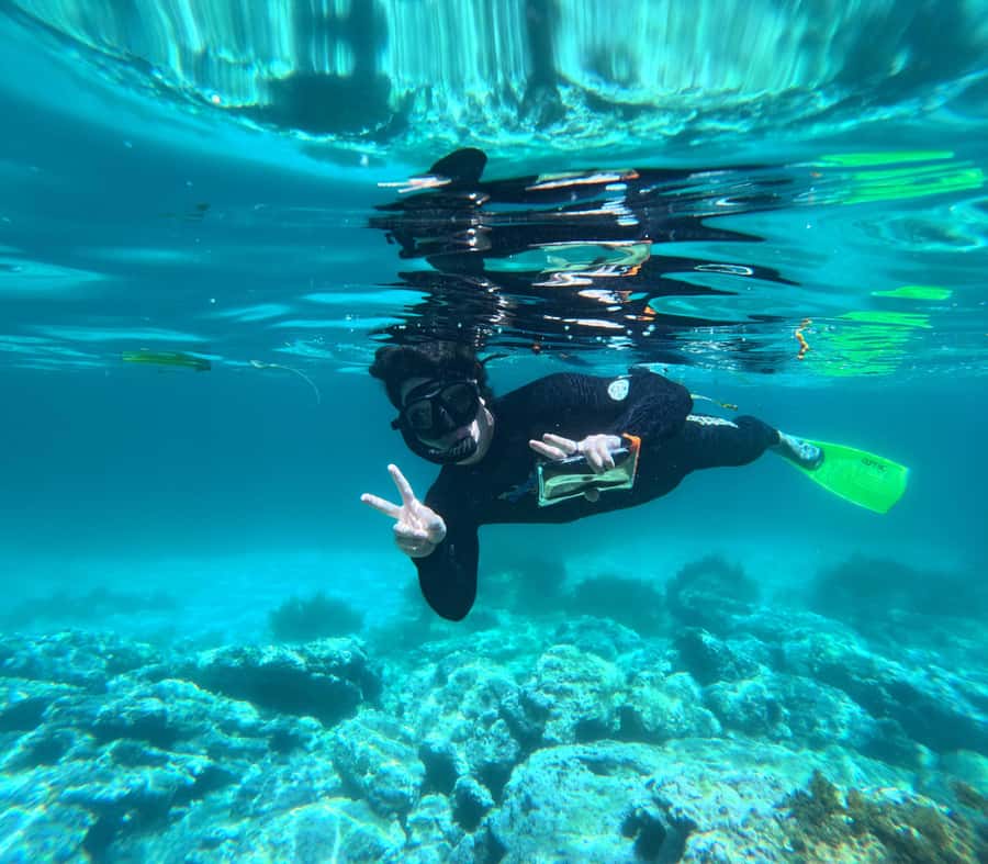 Jervis Bay: Guided Snorkelling Tour with expert guide - FAQ