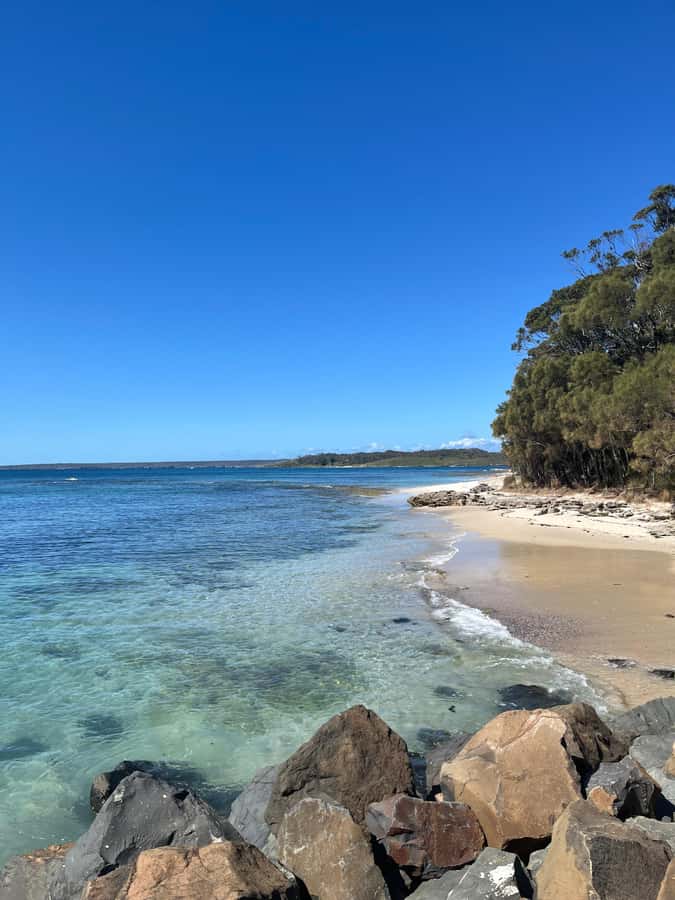 Jervis Bay: Guided Snorkelling Tour with expert guide - Is $81 a fair price for three hours?