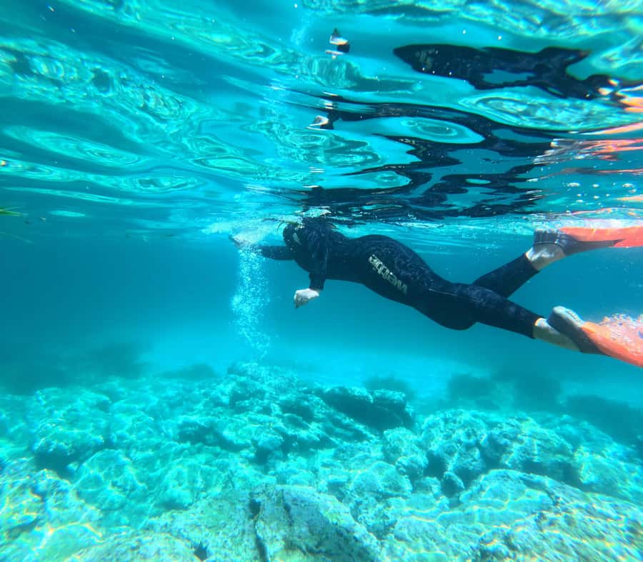 Jervis Bay: Guided Snorkelling Tour with expert guide - Who should book this Jervis Bay tour?