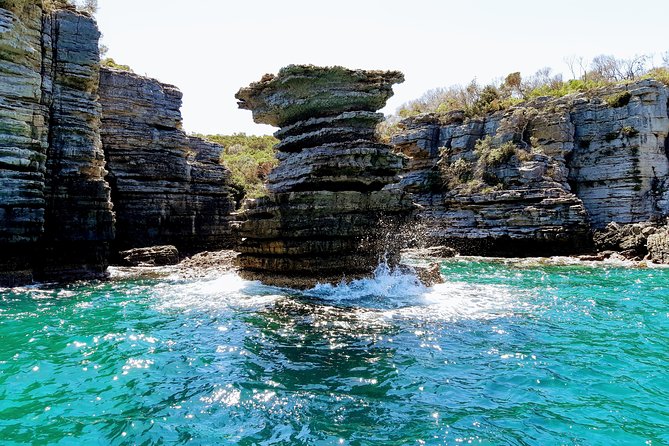 Jervis Bay Passage Tour - Dolphins, seals, birds, and whale season