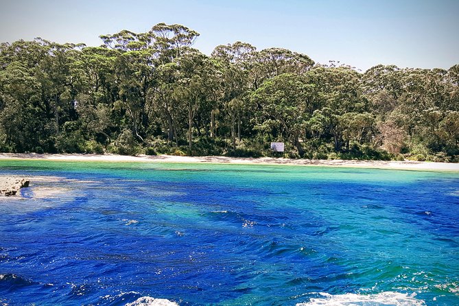 Jervis Bay Passage Tour - Who will enjoy this cruise most?