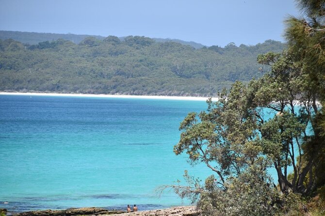 Jervis Bay Tour with Dolphins, Kangaroos & World's Whitest Beach - Booderee National Park and kangaroo spotting at Cave Beach