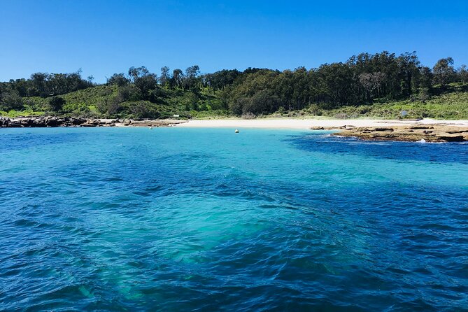 Jervis Bay Whale Watching Tour - Dolphins, seals, penguins, and albatross