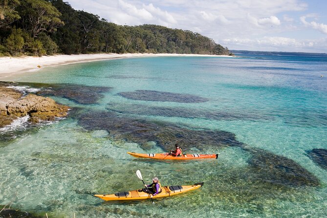Jervis Bay Whale Watching Tour - A family-friendly cruise with clear crew support