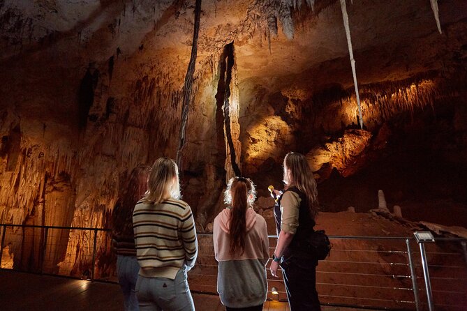 Jewel Cave Fully-guided Tour (Located in Western Australia) - The one-hour route below the bush