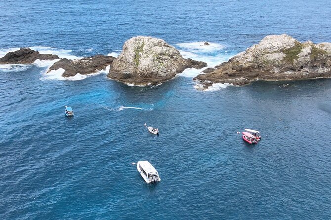 Julian Rocks: Premier Snorkeling Tour Byron Bay - Snorkelling at Nguthungulli Nature Reserve