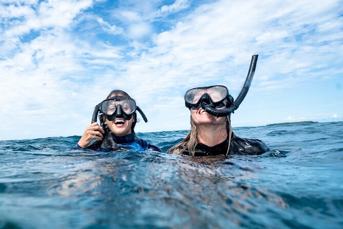 Julian Rocks: Premier Snorkeling Tour Byron Bay - Why the marine biologist matters