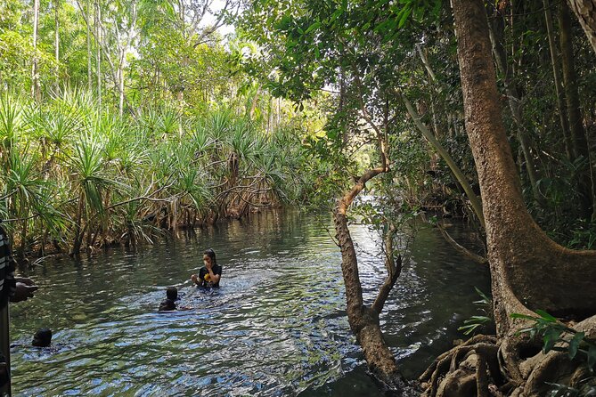 Jumping Croc Cruise, Berry Springs, Fogg Dam & Humpty Doo Pub - Berry Springs: a warm start to the day