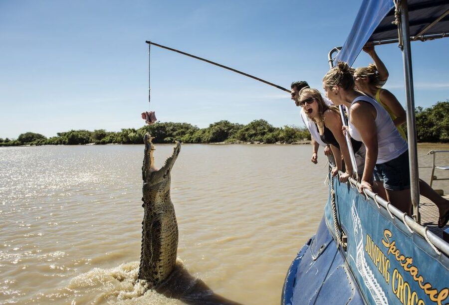 Jumping Crocodile Cruise from Darwin Half-Day Scenic Trip - The Adelaide River is the real attraction