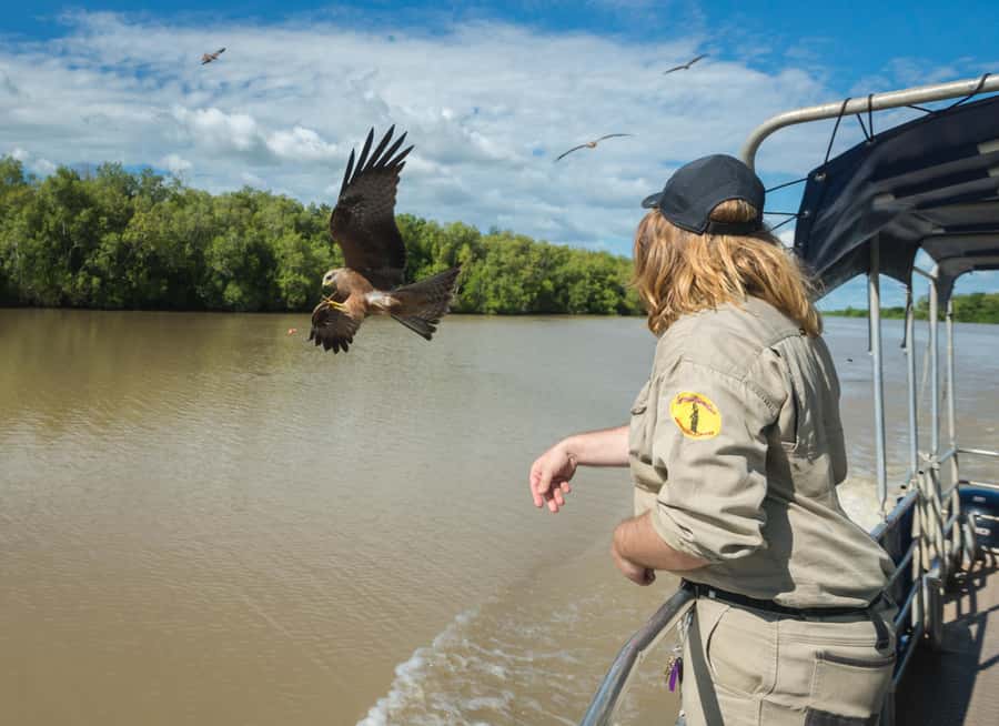 Jumping Crocodile Cruise from Darwin Half-Day Scenic Trip - Getting back to Darwin