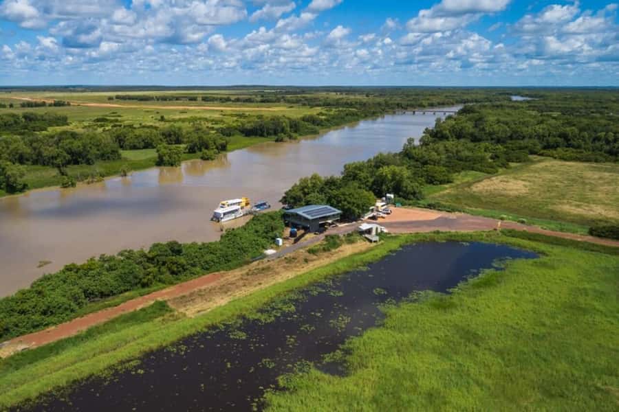 Jumping Crocodile Cruise from Darwin Half-Day Scenic Trip - Is $99 good value?
