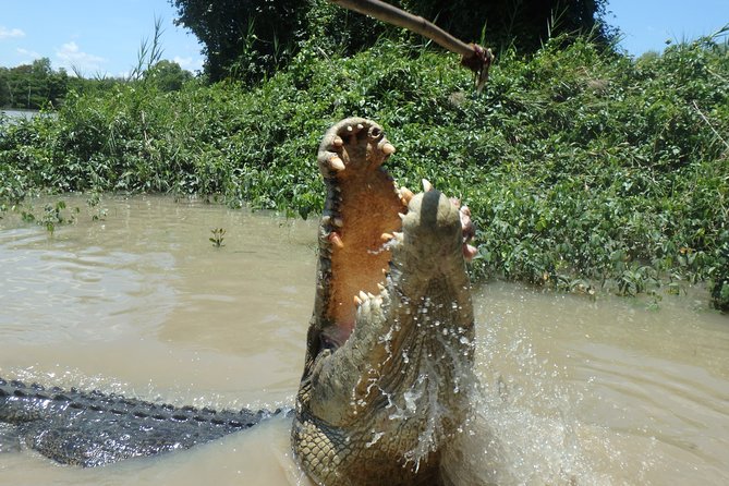 Jumping Crocodile Cruise with lunch - Who should choose this tour