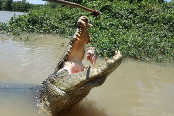 Jumping Crocodile Cruise with lunch - Fogg Dam at 45 minutes