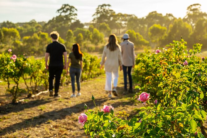 Jurlique Farm Tour - Key points to know before booking