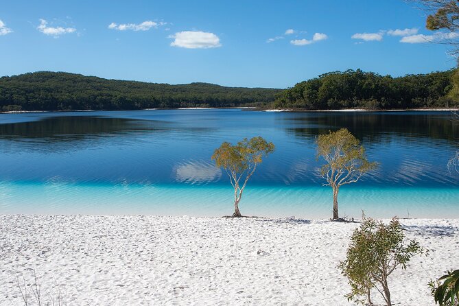 K'gari (Fraser Island) All Inclusive Day Tour - Starting early from Hervey Bay or Rainbow Beach
