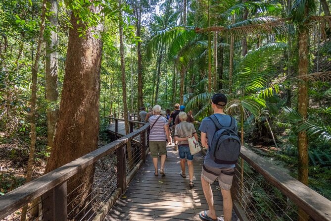 K'gari (Fraser Island) Small Group 4WD Adventure - From Noosa - Key points at a glance
