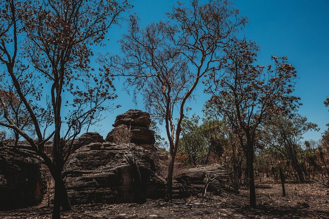 Kakadu Day Tour from Darwin with Offroad Dreaming - The drive, vehicle, and guide experience