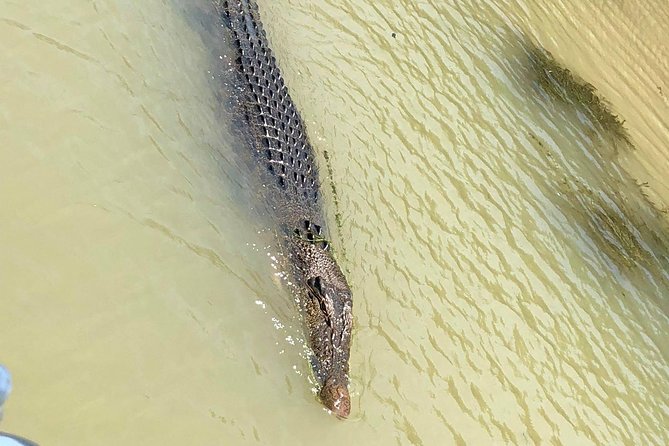 Kakadu National Park Scenic Flight &Yellow Water Cruise - Why seeing Kakadu from the air matters