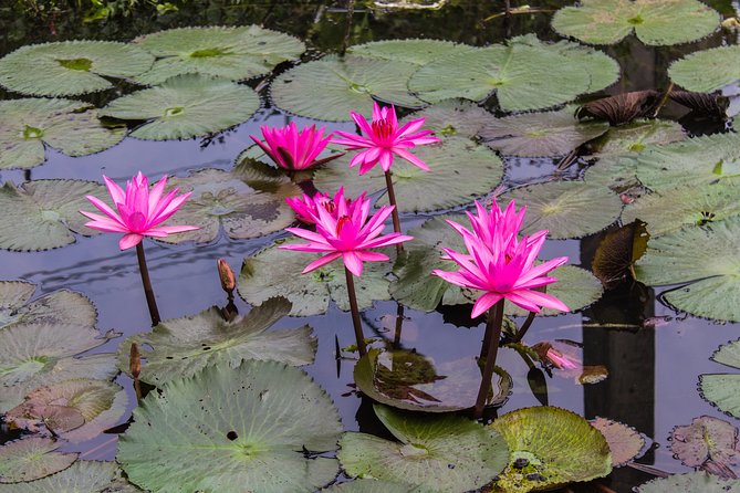 Kakadu, Nourlangie and Yellow Waters Tour from Darwin - Lunch at Cooinda Lodge