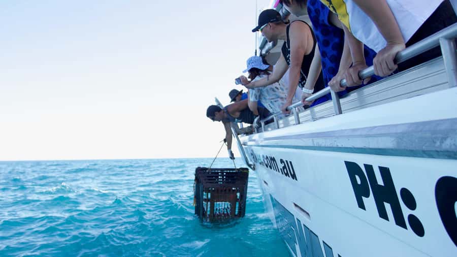 Kalbarri Crayfish Catch & Keep Tour - Who should book the Kalbarri crayfish tour