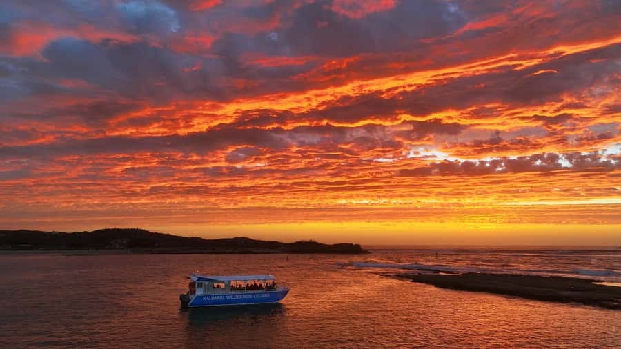 Kalbarri: Murchison River Wilderness Wildlife Cruise - A slow start on the lower Murchison River