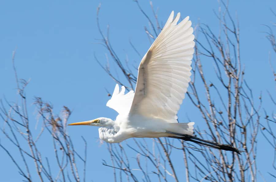 Kalbarri: Murchison River Wilderness Wildlife Cruise - What the $49 price really buys you