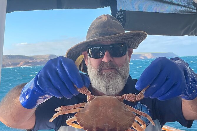 Kalbarri Rock Lobster Tours - Taking part in the catch