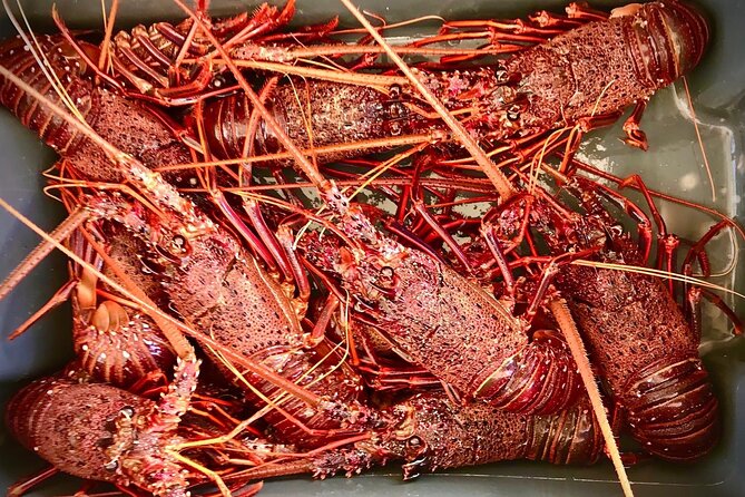 Kalbarri Rock Lobster Tours - Lobster prepared three ways aboard the boat