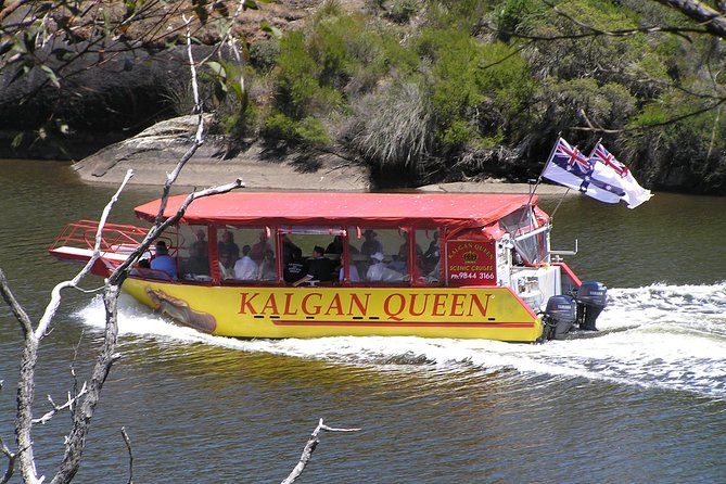 Kalgan Queen Scenic Cruises a four hour sheltered water wildlife tour daily fun. - Key points to know before booking