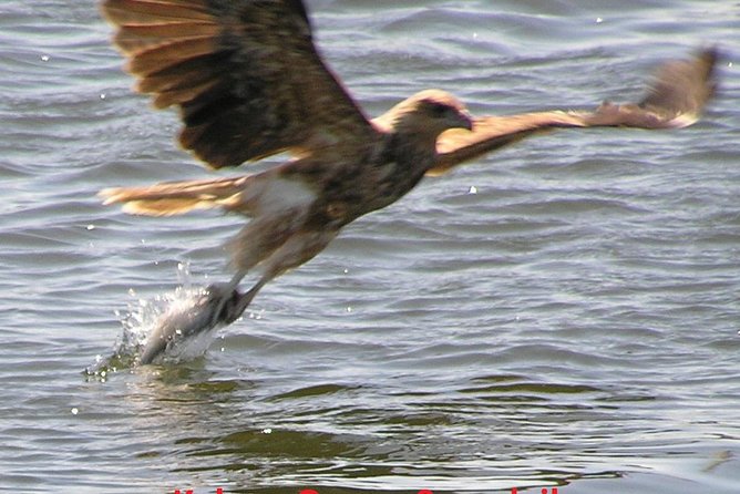 Kalgan Queen Scenic Cruises a four hour sheltered water wildlife tour daily fun. - A calm start from Emu Point