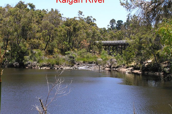 Kalgan Queen Scenic Cruises a four hour sheltered water wildlife tour daily fun. - Is $89.66 good value?