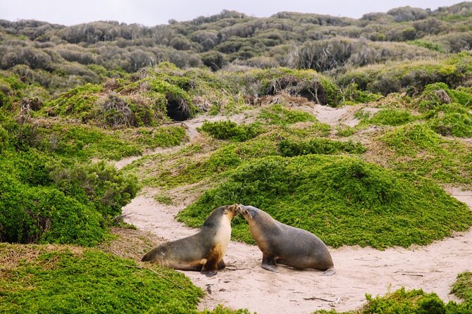 Kangaroo Island 2-Day Wildlife Adventure Small Group tour - Stokes Bay and the Kangaroo Island Brewery