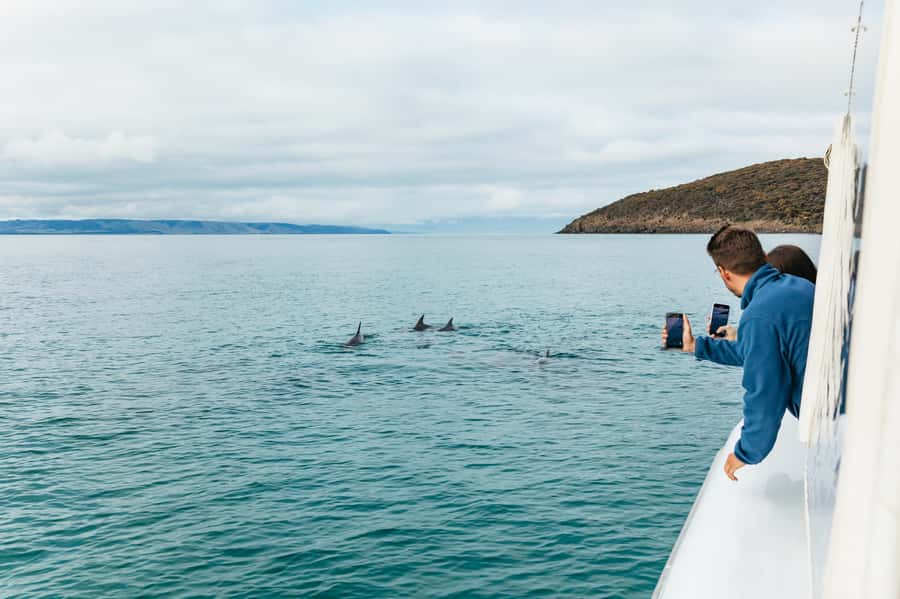 Kangaroo Island: 75-Minute Coastal Safari - Simple ways to get more from the outing