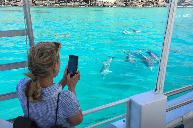 Kangaroo Island 75-Minute Coastal Safari - Christmas Cove is the right starting point