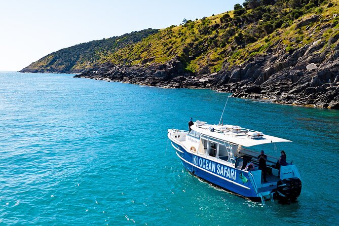 Kangaroo Island 75-Minute Coastal Safari - Dolphins, seals, eagles, and coastal birds