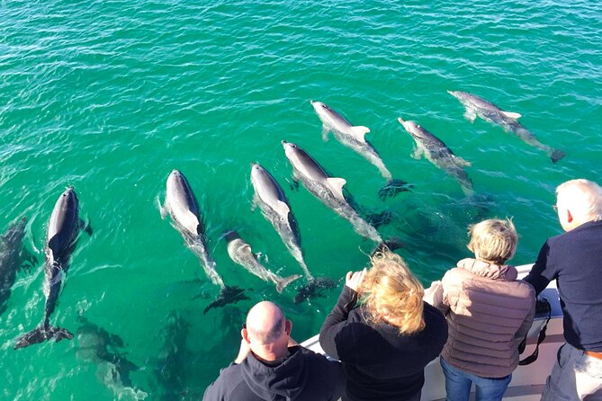 Kangaroo Island: 75-Minute Coastal Safari - What the 75-minute route gives you
