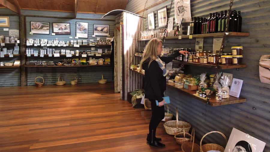 Kangaroo Island: Half-Day Tour Guided Coach Tour - Ligurian honey with a close look at island beekeeping