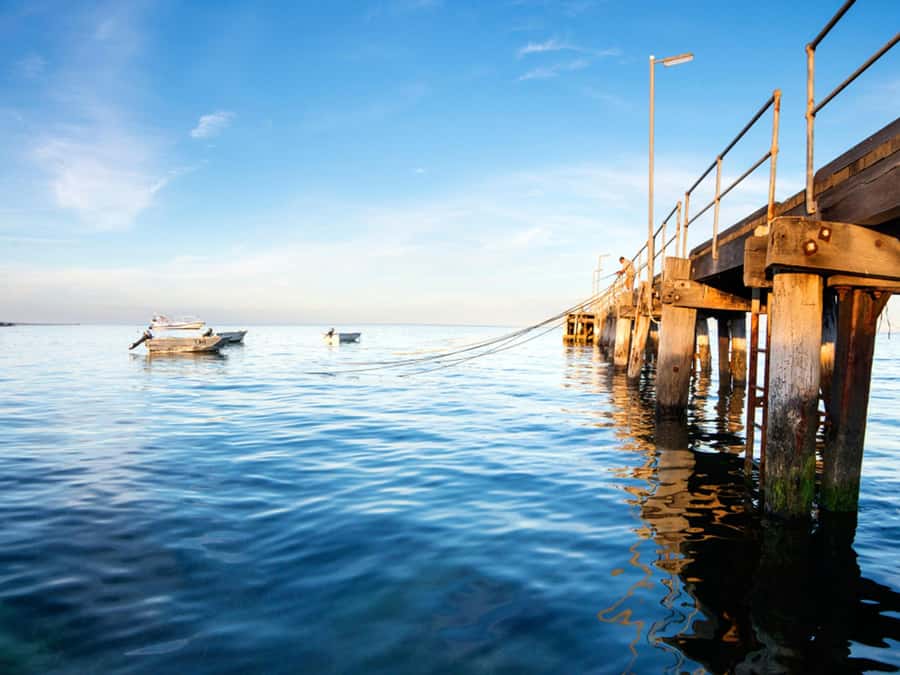 Kangaroo Island: Half-Day Tour Guided Coach Tour - Kingscote: one hour in Kangaroo Island’s main town