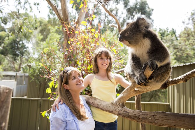 Kangaroo Island in a Day Tour from Adelaide - Guides make the long drives worthwhile