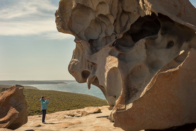 Kangaroo Island in a Day Tour from Adelaide - Seal Bay puts you close to wild sea lions