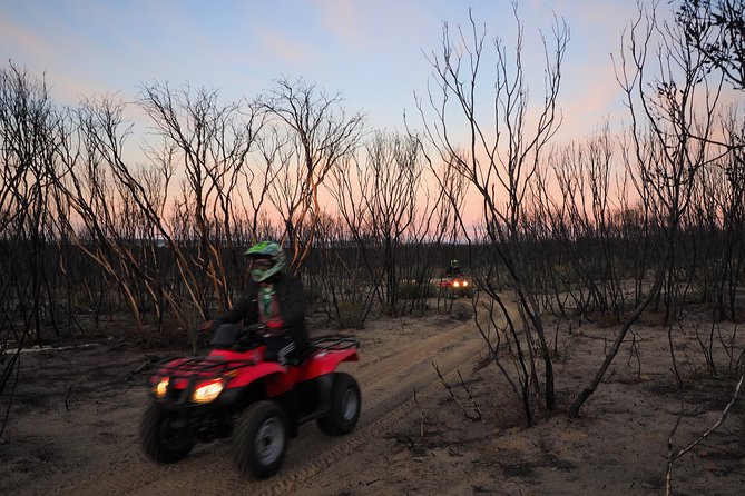Kangaroo Island Quad Bike (ATV) Tours - Wildlife watching without leaving the quad bike
