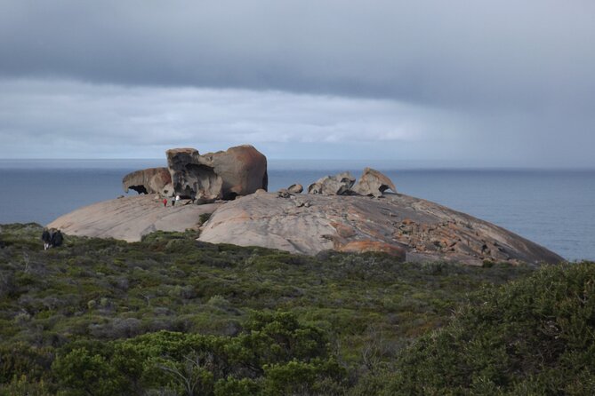Kangaroo Island Scenic Nature and Wildlife Day Tour - Flinders Chase packs three major sights into three hours