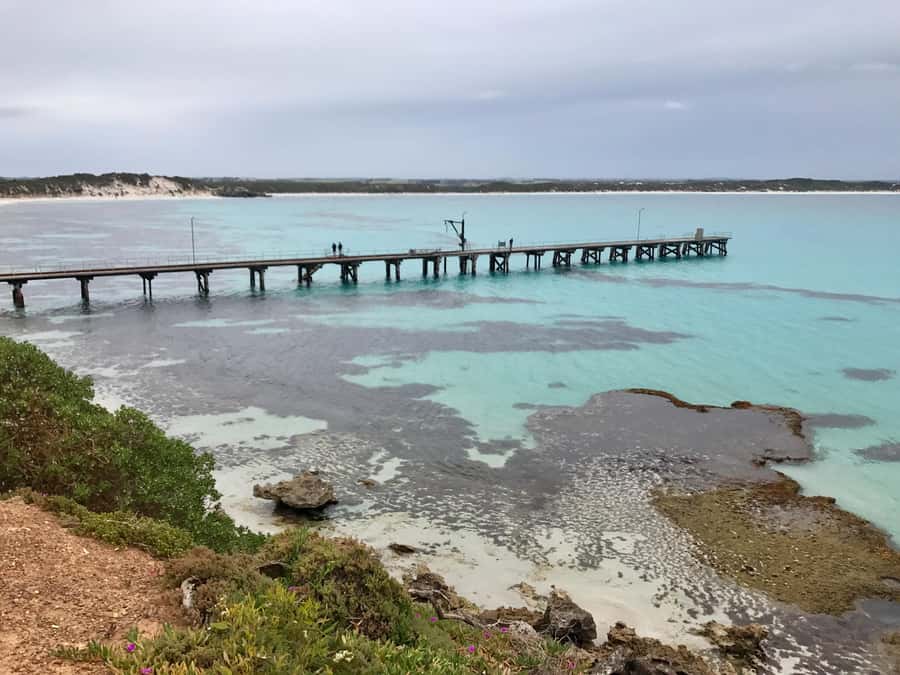 Kangaroo Island: Scenic, Nature & Wildlife Tour - Why this Kangaroo Island tour works well